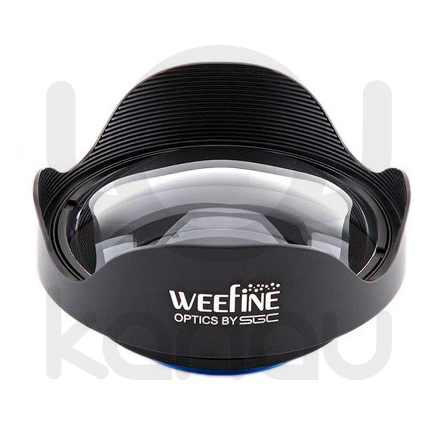 Weefine-angular-WFL-12